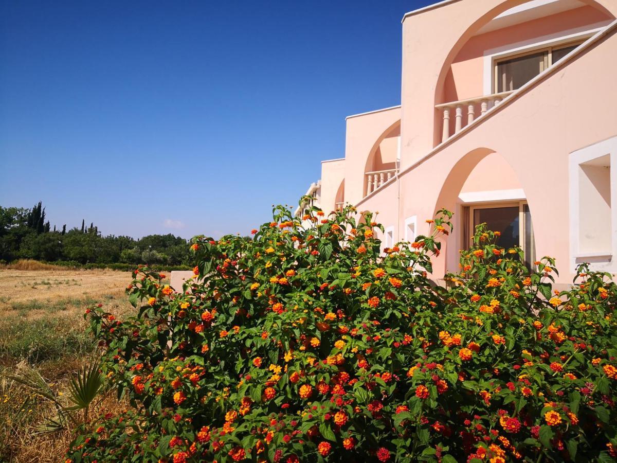 Seashell Apartments Paphos 外观 照片